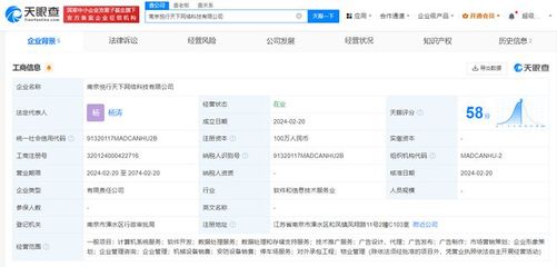 王思聰普思資本布局南京，投資計算機系統(tǒng)服務新公司