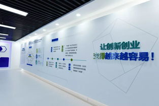 互聯網服務 創新創業的沃土，方興未艾的新篇章